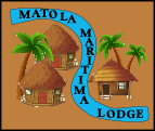 Matola logo